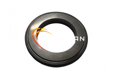CONTREFACE IN 25X40X6  -  CARBURE/VITON