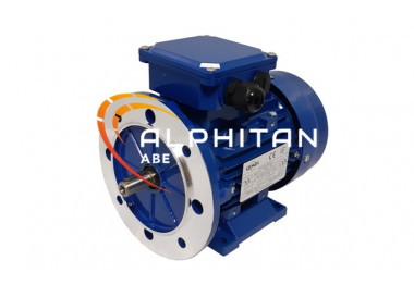 MOTEUR IE2 MS132S2 - 7.5KW 3000T 400/660 B35