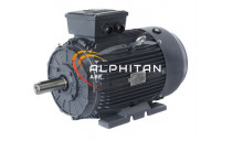 MOTEUR IE3 EG160L - 15KW 1500T 400/660 B3
