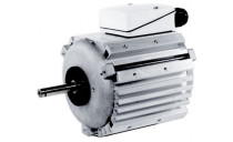 Moteur à bossages Leroy Somer