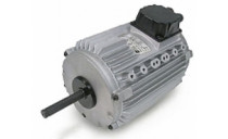 Moteur à bossages Leroy Somer