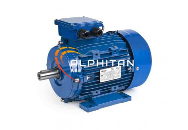 MOTEUR IE2 EG160L - 18.5KW 3000T 400/660 B3