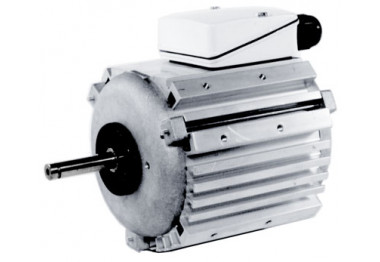 MOTEUR A BOSSAGES CF22 TRI 8P 90 W