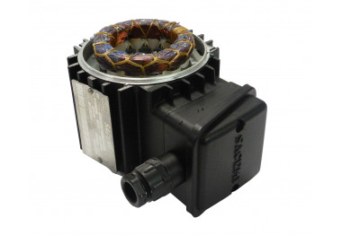 Stator pour pompe Sacemi