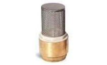 CLAPET DE RETENUE 1" LAITON AVEC CREPINE INOX