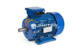 MOTEUR IE2 EG160L - 18.5KW 3000T 400/660 B3